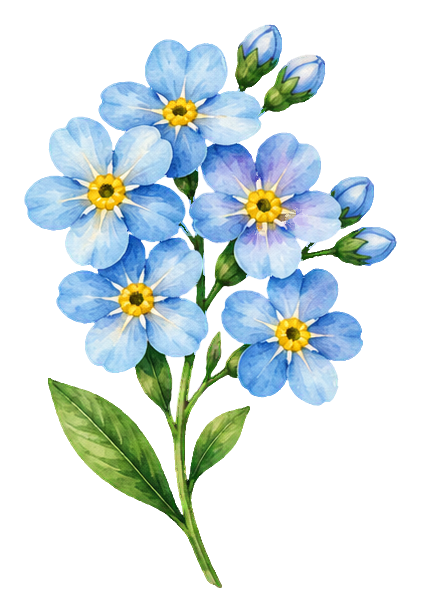 Preview for Watercolor Wildflowers Forget Me Not