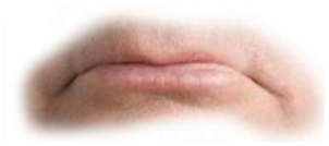 Preview for Mouth-closeup-image-mouths-sticker-19cc4