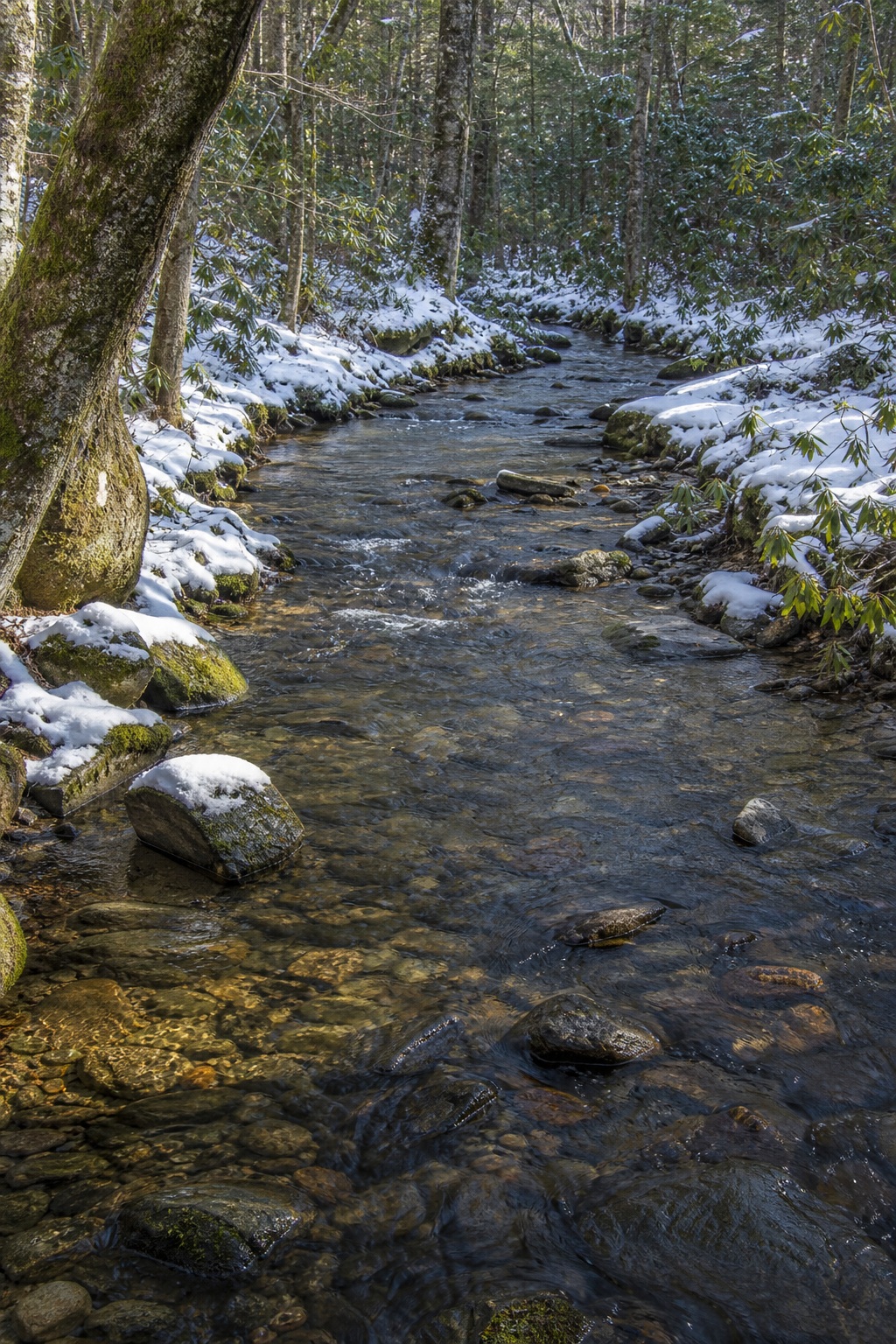 A shaded woodland brook flowing between snowy banks and mossy rocks
