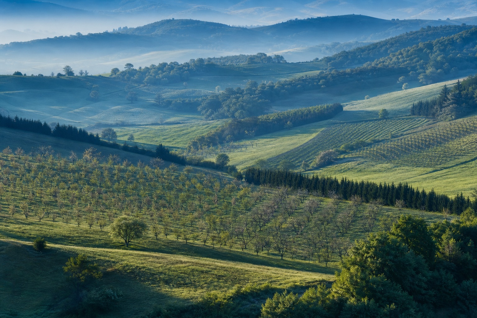 Preview for Golden Farmland Valley Background