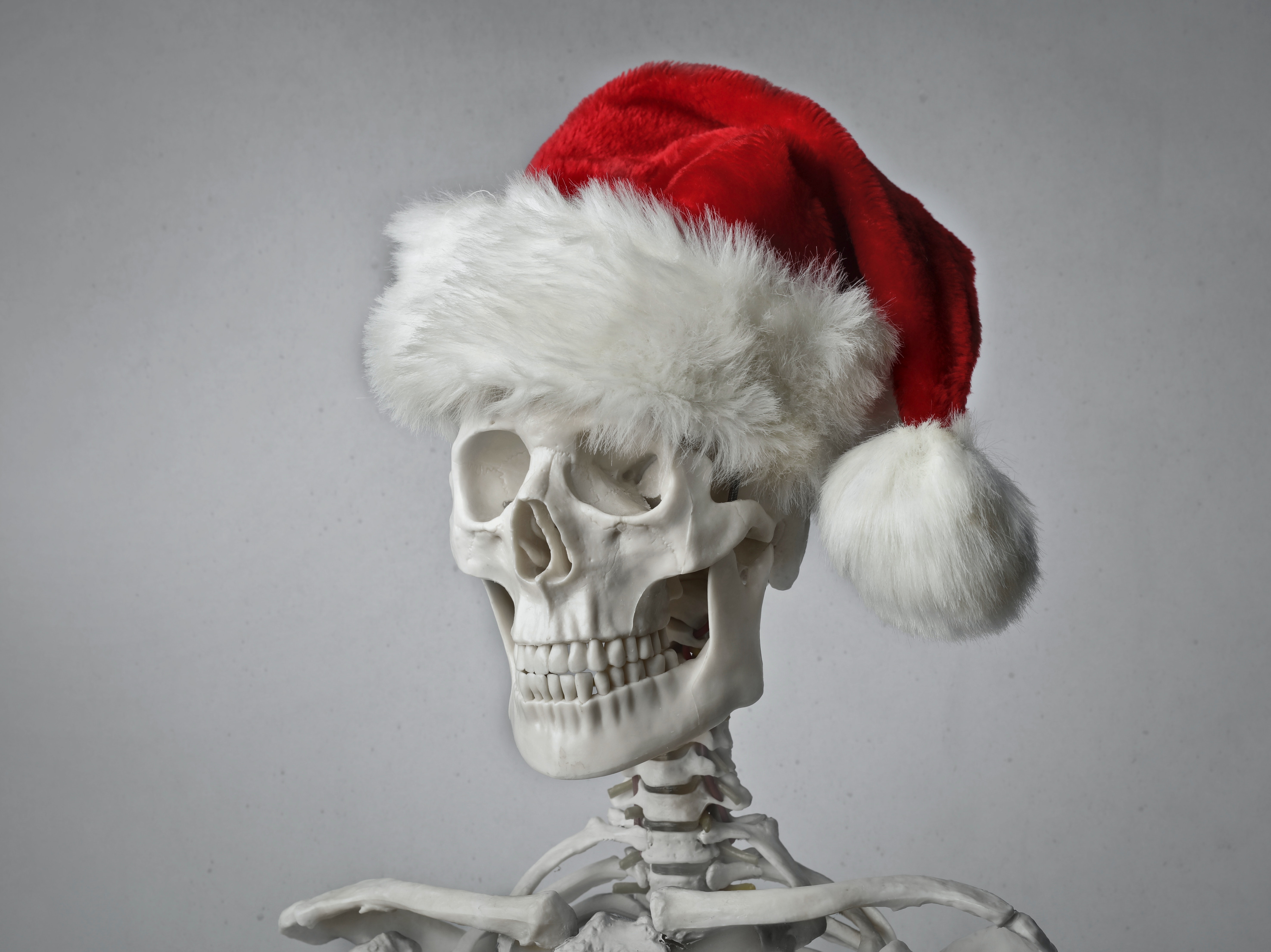 Preview for Skeleton-santa-hat-human-meme-background-df09d