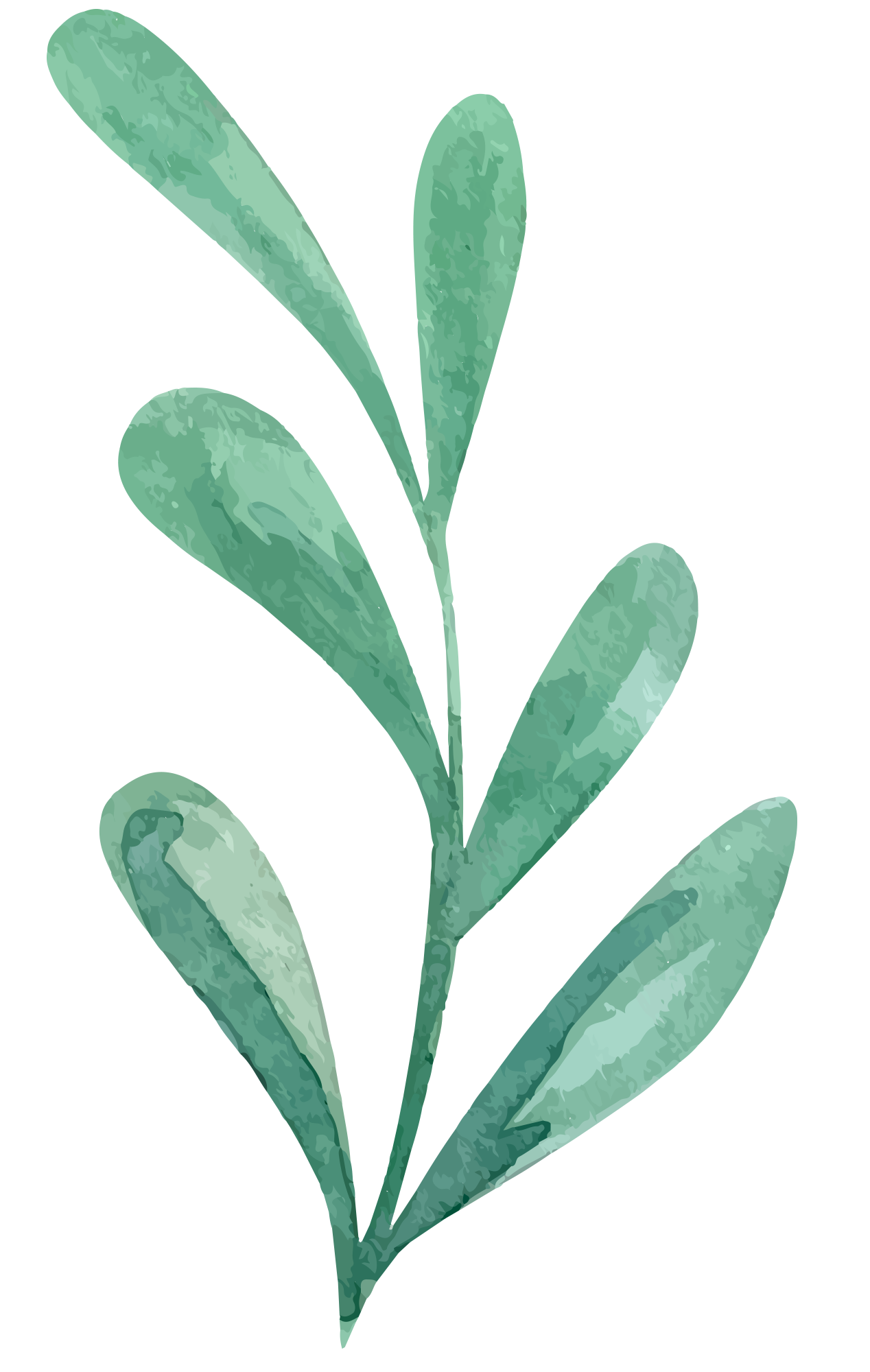 Preview for Watercolor-olive-branch-illustration-watercolor-christmas-sticke-a044b