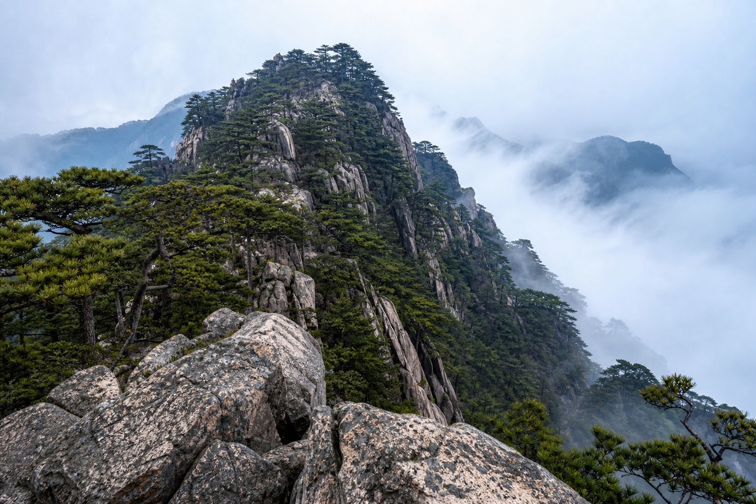 Preview for Pine-covered Mountain Landscape Background
