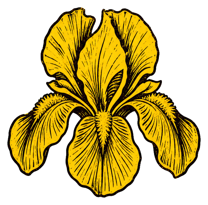 Preview for Bold Yellow Iris Sticker