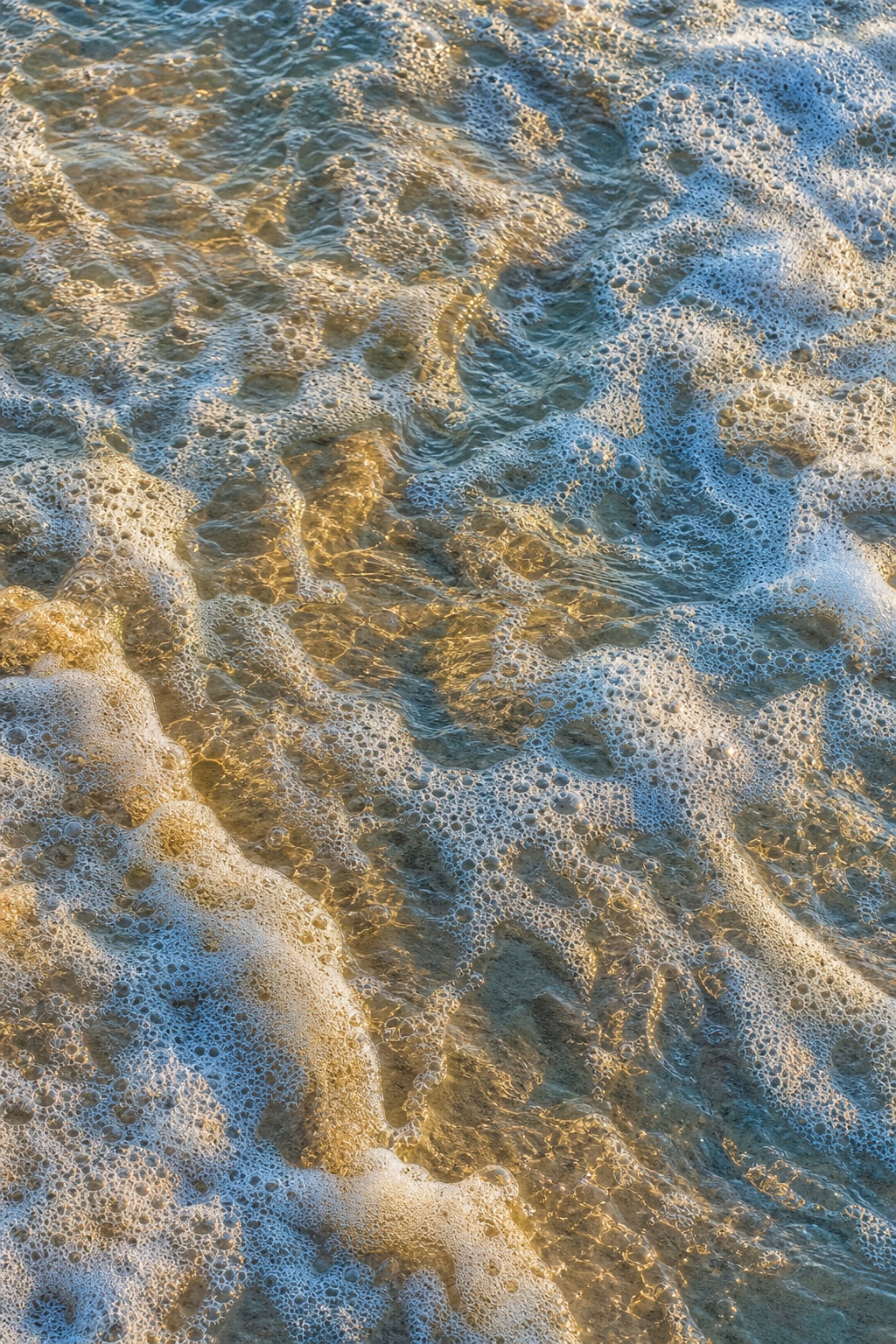 Warm golden light over textured sea foam and dispersed bubbles along the shoreline.