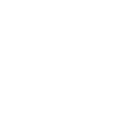 White star icon