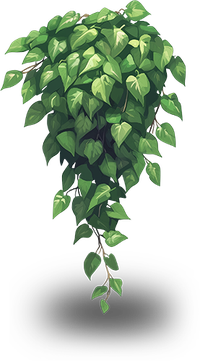 A digital illustration of a pothos plant with vibrant green leaves.