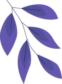 Purple leaves on a black background