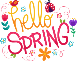 Hello Spring greeting with flowers and ladybug