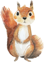 Illustration of a squirrel with a fluffy tail and cute expression