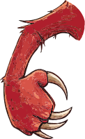 A red claw with sharp talons