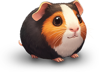 A guinea pig with black, white, and orange fur looking directly at the camera.