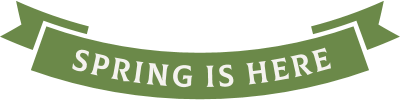 Green ribbon banner with 'SPRING IS HERE' text