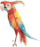 A digitally illustrated parrot with multicolored feathers against a transparent background