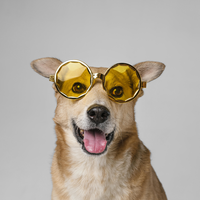 A tan dog with yellow sunglasses and a happy expression.