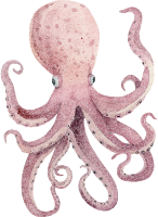 Illustration of a pink octopus with curled tentacles