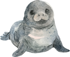Watercolor illustration of a seal with large eyes and gray fur