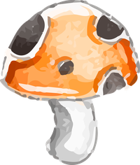 Illustration of a mushroom with an orange cap and white stem