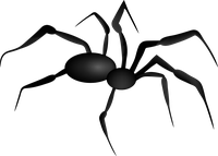 Simple black spider illustration