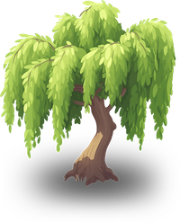 Illustration of a weeping willow tree with green leaves