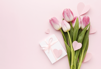 Pink tulips with gift box and hearts