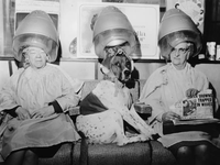 Black and white photo of women under hair dryers in a vintage salon