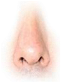 A close-up of a human nose with a glitch effect.