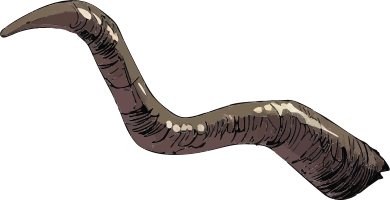 Illustration of a claw