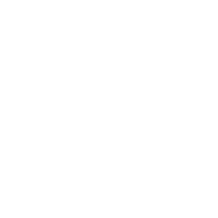 White snowflake icon