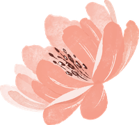 Illustration of a pink flower with detailed center
