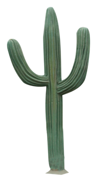 A tall, green saguaro cactus with three arms