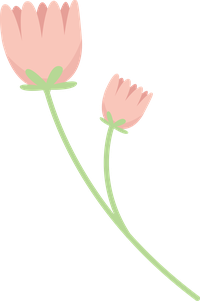 Two pink flowers with green stems