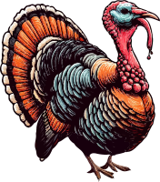 A stylized illustration of a turkey with multicolored feathers against a black background.
