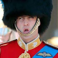 British guard in ceremonial attire