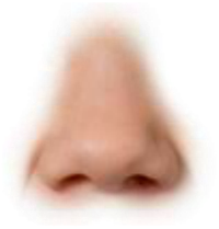 A close-up of a nose with a glitchy, pixelated effect around it.
