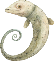 Illustration of an eel-like creature with a curled tail