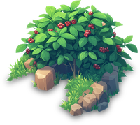 Illustration of a bush with red berries and surrounding rocks