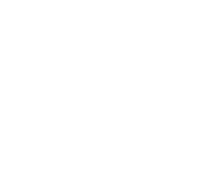 White star icon