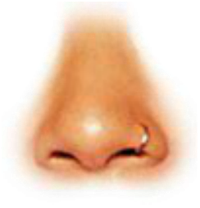 Close-up of a nose with a nose ring