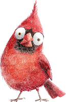 A cartoon red cardinal with a shocked face