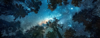 A panoramic view of the night sky with the Milky Way visible through the branches of trees.