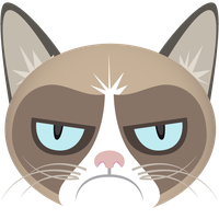 Grumpy cat face with a displeased expression