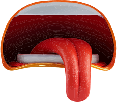 3D rendering of a container with red liquid and a curved tube