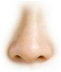 A close-up of a human nose with a colorful glitch effect around it.