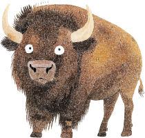 A cartoon bison with large white eyes and curved horns