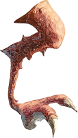 A sharp, fantasy creature claw