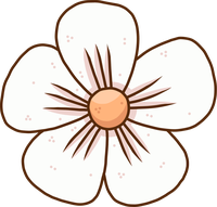 A white flower with five petals and a brown center on a black background.