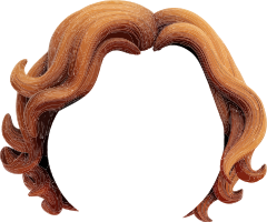 Digital illustration of a luxurious hair wig with flowing, wavy strands.