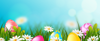 Colorful Easter eggs surrounded by white daisies in green grass