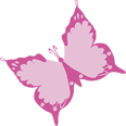Two pink butterflies on a magenta background